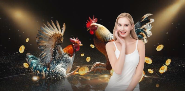 Các quy định và luật chơi trong đá gà cựa dao Fabet